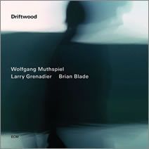 Wolfgang Muthspiel Trio – Driftwood