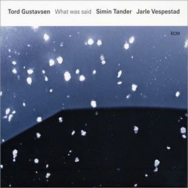 Tord Gustavsen, Simin Tander, Jarle Vespestad – What was said