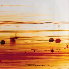 Skúli Sverrisson and Bill Frisell ::: Strata