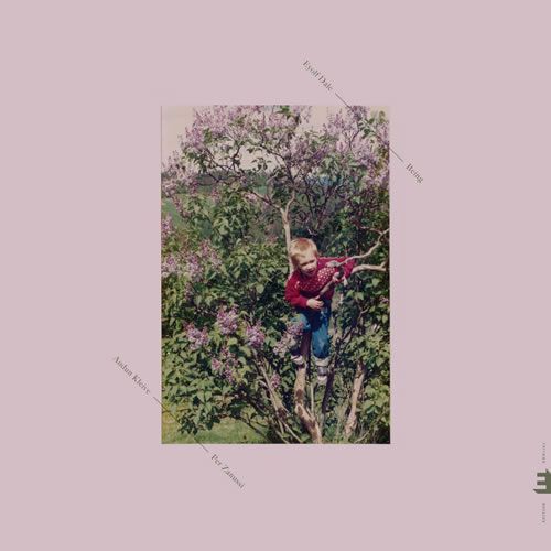 Eyolf Dale ::: Being