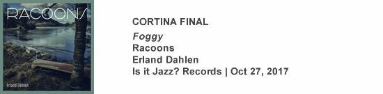 CORTINA FINAL Foggy - Racoons CORTINA FINAL Foggy - Racoons