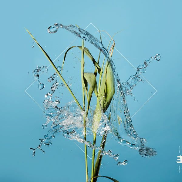 Fergus McCreadie ::: Stream