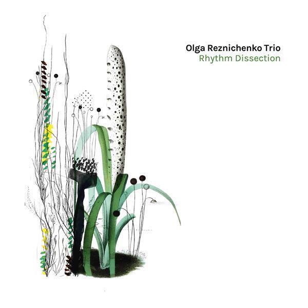 Olga Reznichenko Trio ::: Rhythm Dissection