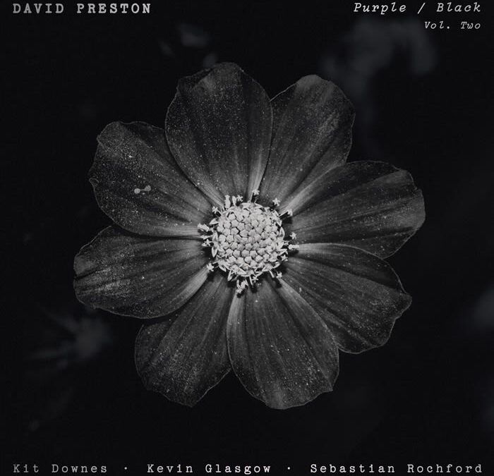 David Preston ::: Purple / Black Volume 2