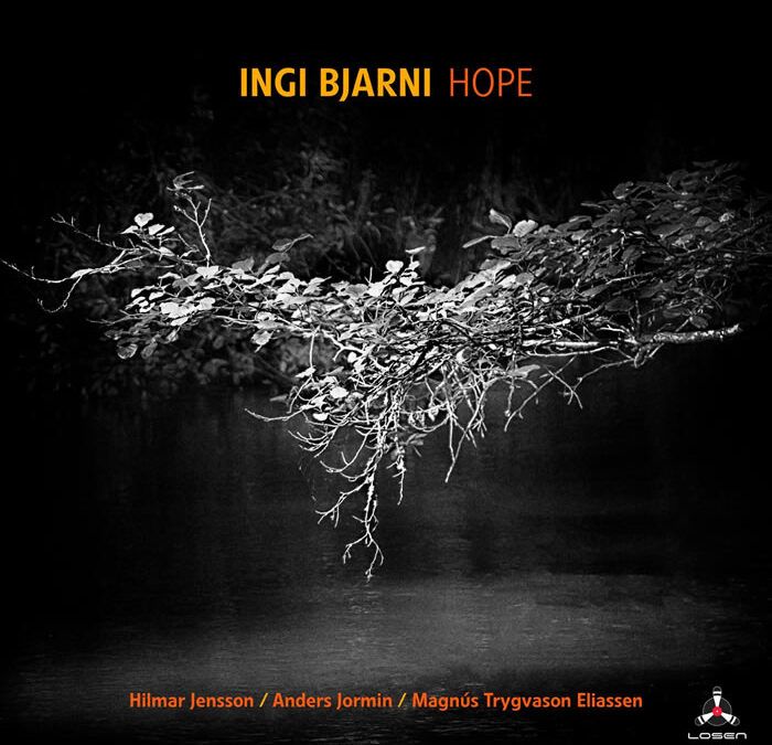 Ingi Bjarni ::: Hope