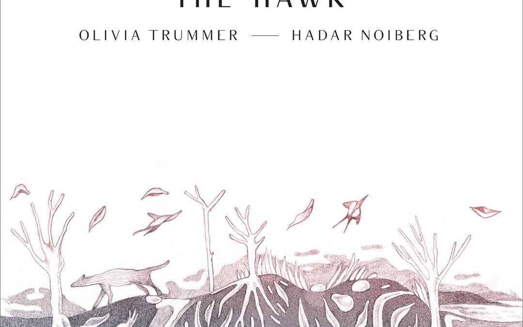 Olivia Trummer & Hadar Noiberg ::: The Hawk