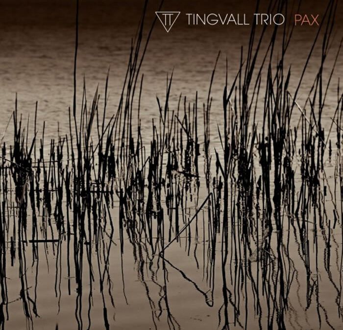 Tingvall Trio ::: Pax