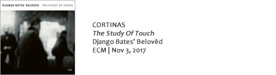 CORTINAS The Study Of Touch
