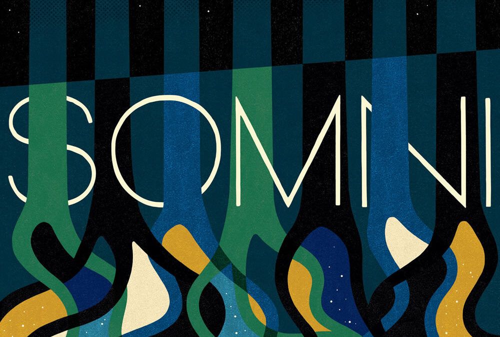 Snarky Puppy & Metropole Orkest ::: Somni