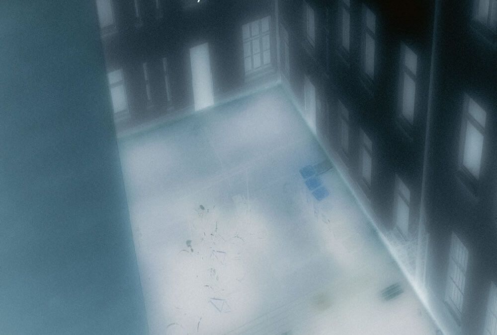 Julia Hülsmann Octet ::: While I Was Away