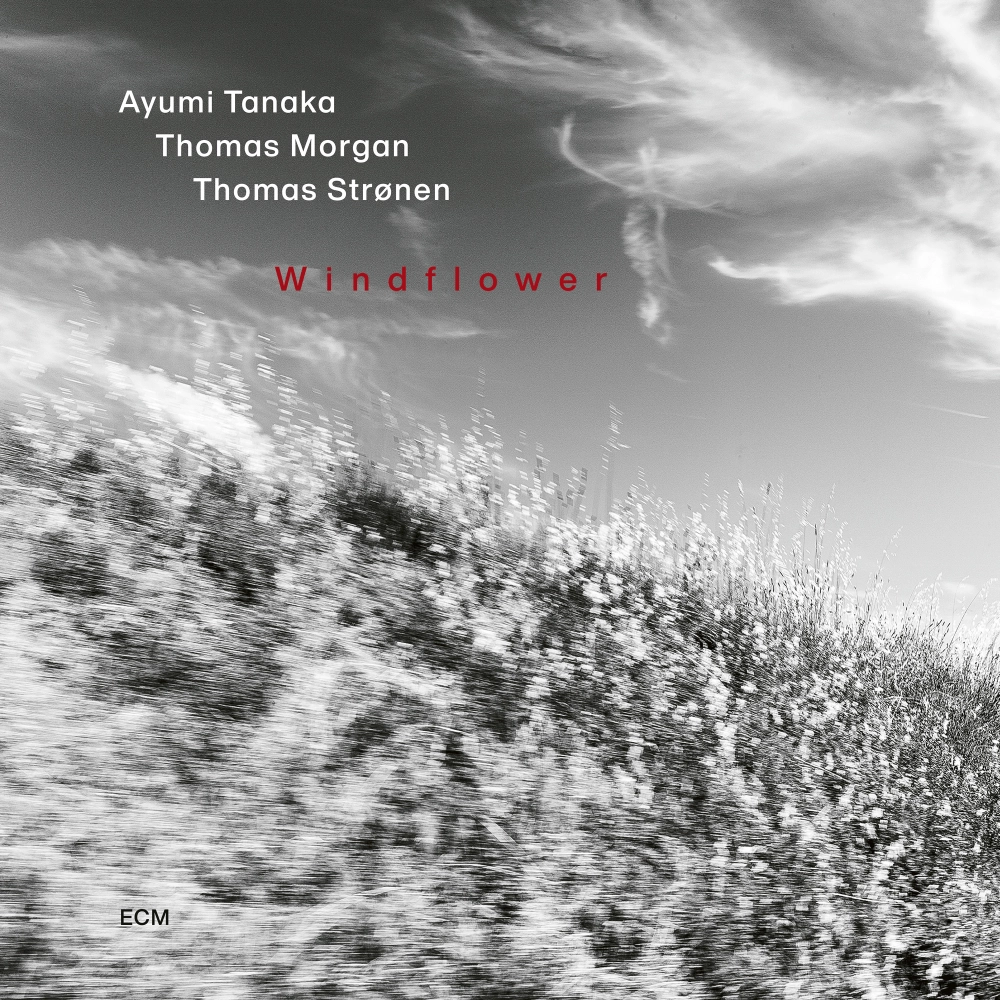 Ayumi Tanaka, Thomas Morgan, Thomas Strønen - Windflower Ayumi Tanaka, Thomas Morgan, Thomas Strønen - Windflower